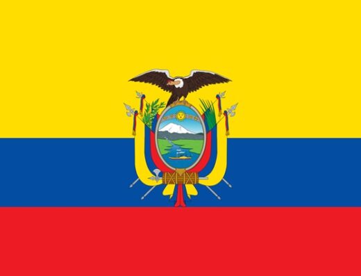 David Fajardo Torres