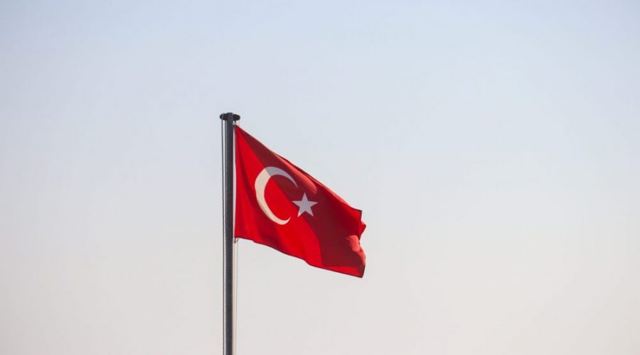 TURQUIE: Rapport d’observation judiciaire (Procès de l’assassinat du bâtonnier Tahir Elçi – 5ème audience, du 15 juin 2022)