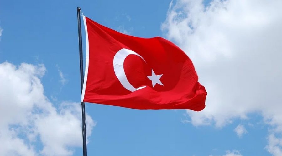 TURQUIE : LIVRABLE SUR LE PROCES POUR L’ASSASSINAT DE TAHIR ELÇI