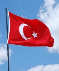 TURKEY: LEAFLET ON THE TRIAL FOR THE KILLING OF TAHIR ELÇI