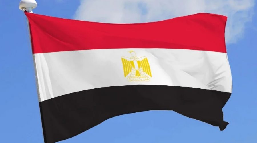 EGYPT: Release of Egyptian lawyer Mohamed EL-Baqer by «presidential pardon»